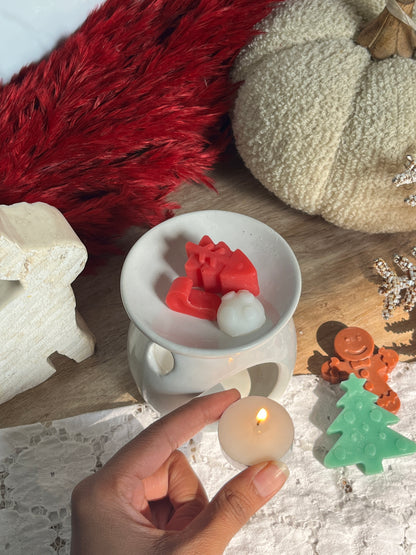Ceramic diffuser wax melts combo