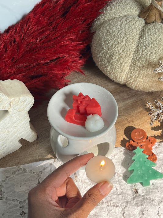 Ceramic diffuser wax melts combo