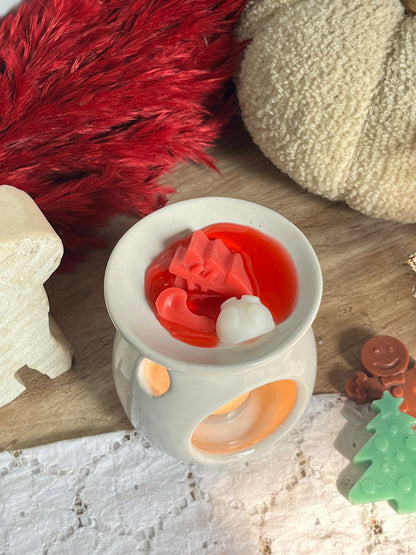 Ceramic diffuser wax melts combo