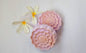 Flower Bath Bomb combo