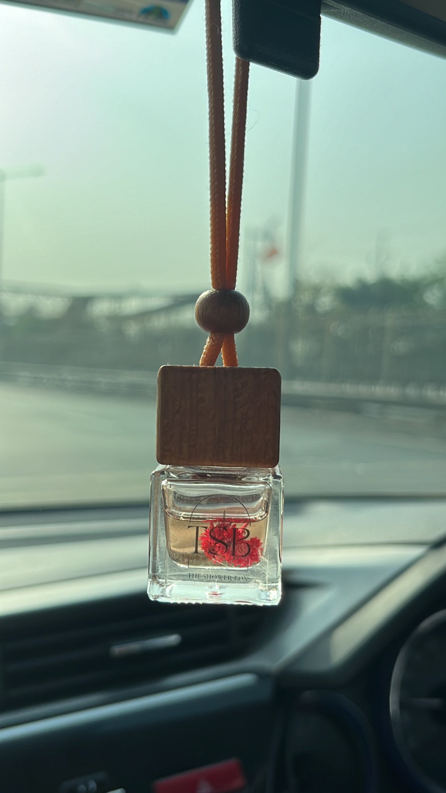 Hanging Diffuser